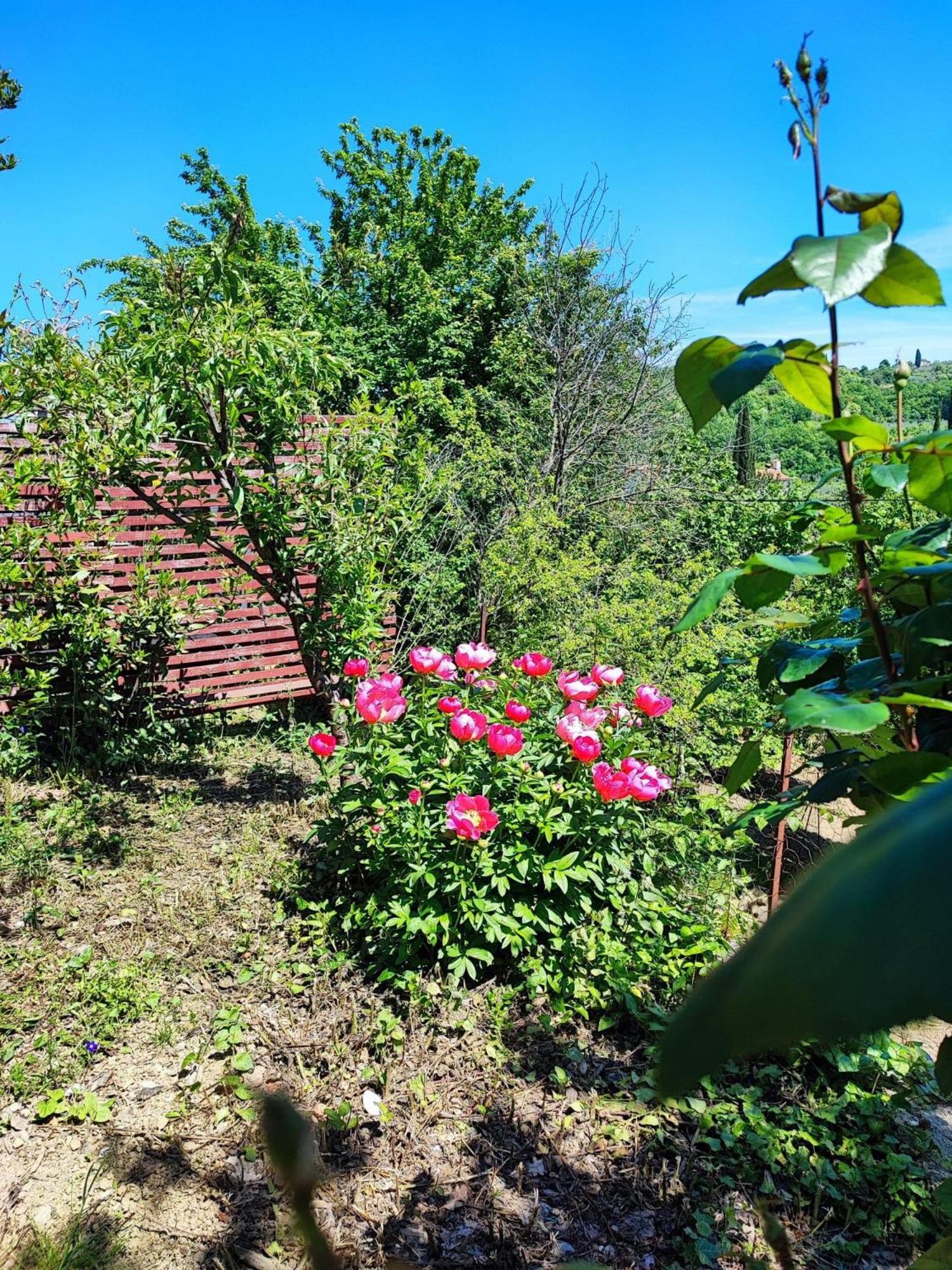 Apartment Cimbora, Salara Farmhouse Koper Exterior photo